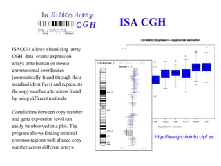 Gene gain and loss: aCGH. ISACGH | PPT