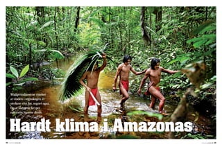 34 A-MAGASINET 30. MAI 2008 35A-MAGASINET 30. MAI 2008
Hardt klima i Amazonas
Wajãpi-indianerne merker
at vinden i regnskogen er
sterkere enn før, regnet også.
Og at slangene kryper
nærmere husene deres.
 