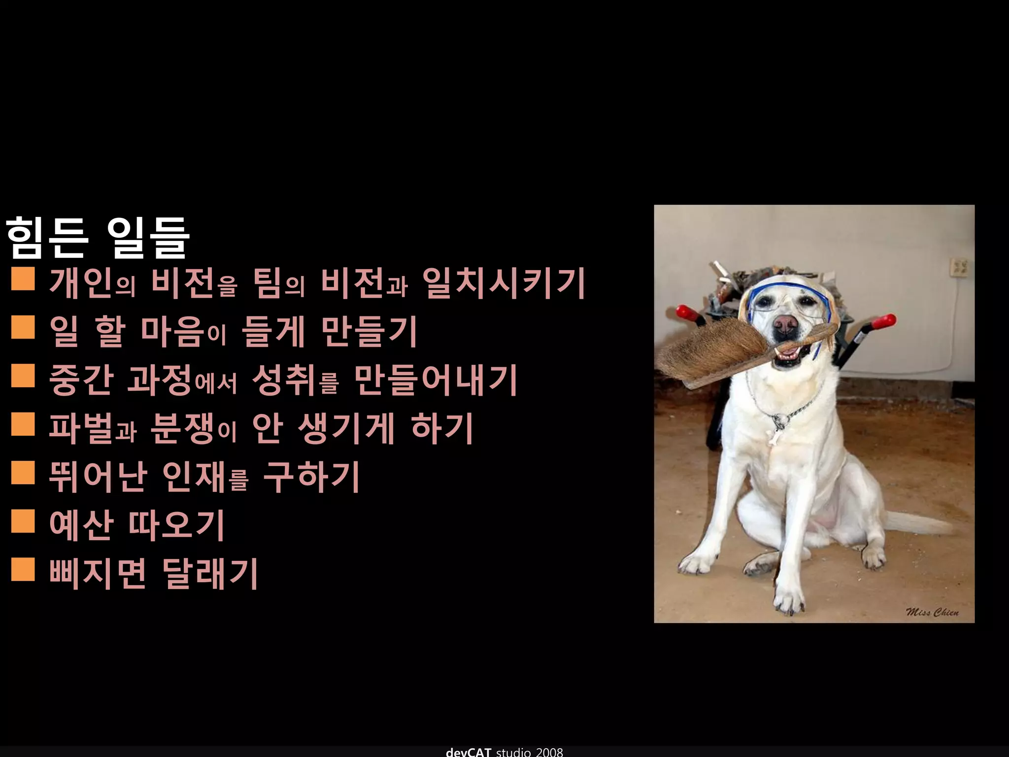 힘듞 일들
 개인의 비전을 팀의 비전과 일치시키기
 일 핛 마음이 들게 만들기
 중갂 과정에서 성취를 만들어내기
 파벌과 분쟁이 안 생기게 하기
 뛰어난 인재를 구하기
 예산 따오기
 삐지면 달래기
 