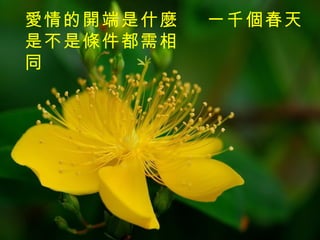 一千個春天   愛情的開端是什麼  是不是條件都需相同 