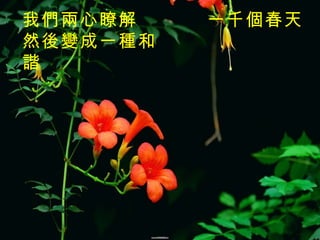 一千個春天   我們兩心瞭解  然後變成一種和諧 