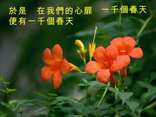 一千個春天   於是　在我們的心扉　 便有一千個春天 