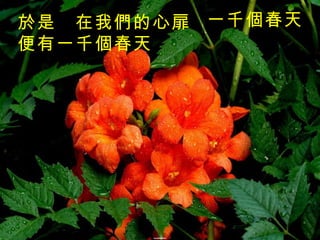 一千個春天   於是　在我們的心扉　 便有一千個春天 