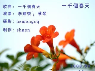 一千個春天   歌曲 :  一千個春天 演唱 :  李建復 \ 蔡琴   摄影 :  hzmengsq 制作 :  shgen   2008.09.18 