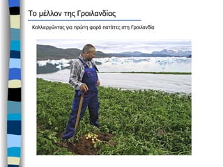 Το μέλλον της Γροιλανδίας  Καλλιεργώντας για πρώτη φορά πατάτες στη Γροιλανδία 