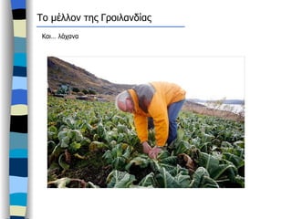 Το μέλλον της Γροιλανδίας  Και… λάχανα  