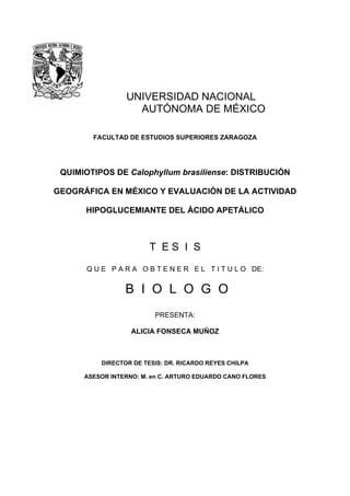 UNIVERSIDAD NACIONAL
AUTÓNOMA DE MÉXICO
FACULTAD DE ESTUDIOS SUPERIORES ZARAGOZA
QUIMIOTIPOS DE Calophyllum brasiliense: DISTRIBUCIÓN
GEOGRÁFICA EN MÉXICO Y EVALUACIÓN DE LA ACTIVIDAD
HIPOGLUCEMIANTE DEL ÁCIDO APETÁLICO
T E S I S
Q U E P A R A O B T E N E R E L T I T U L O DE:
B I O L O G O
PRESENTA:
ALICIA FONSECA MUÑOZ
DIRECTOR DE TESIS: DR. RICARDO REYES CHILPA
ASESOR INTERNO: M. en C. ARTURO EDUARDO CANO FLORES
 