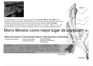 Instituto de Investigaciones Botánicas, para la futura Reserva Nacional