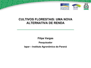 CULTIVOS FLORESTAIS: UMA NOVA
ALTERNATIVA DE RENDA
Filipe Vargas
Pesquisador
Iapar – Instituto Agronômico do Paraná
 