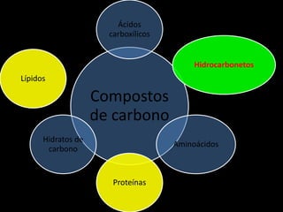 Compostos
de carbono
Ácidos
carboxílicos
Hidrocarbonetos
Aminoácidos
Proteínas
Hidratos de
carbono
Lípidos
 