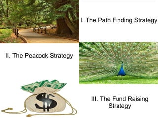 II. The Peacock Strategy I. The Path Finding Strategy III. The Fund Raising Strategy 