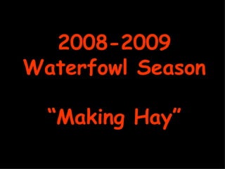 2008-2009 Waterfowl Season “Making Hay” 