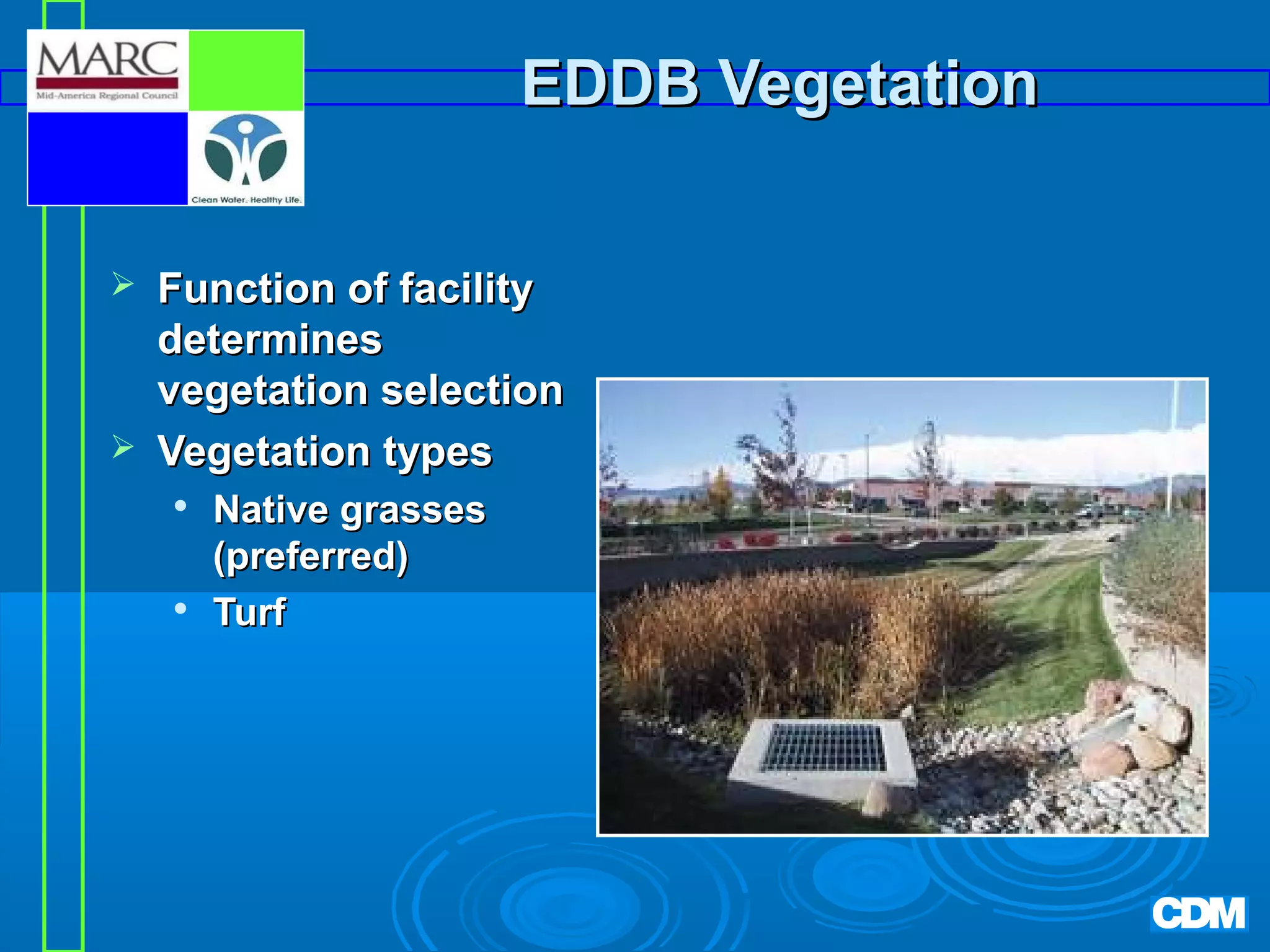 EDDB Vegetation




Function of facility
determines
vegetation selection
Vegetation types




Native grasses
(preferred)
Turf

 