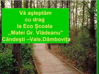 Vă aşteptăm
cu drag
la Eco Şcoala
,,Matei Gr. Vlădeanu”
Cândeşti –Vale,Dâmboviţa

 