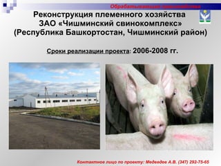 Реконструкция племенного хозяйства  ЗАО «Чишминский свинокомплекс» (Республика Башкортостан, Чишминский район)  Сроки реализации проекта :   2006-2008 гг. Контактное лицо по проекту: Медведев А.В. (347) 292-75-65 Обрабатывающие производства 