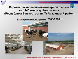 Строительство молочно-товарной фермы  на 1140 голов дойного скота  (Республика Башкортостан, Туймазинский район) Сроки реализации проекта :   2006-2008 гг. Контактное лицо по проекту: Хабибуллина Л.Х. (34782) 3-77-75 Обрабатывающие производства 