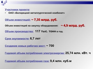 Участники проекта :  ОАО «Белорецкий металлургический комбинат» Объем инвестиций:   ~ 7,35 млрд. руб. Объем производства:   117 тыс. тонн   в год. Срок окупаемости:   6 ,7 лет Создание новых рабочих мест:   ~  700 Годовой объем потребления электроэнергии:   25,74 млн. кВт. ч Годовой объем потребления газа:   9,4 млн. куб.м Объем инвестиций на закупку оборудования:   ~ 4,9 млрд. руб.   