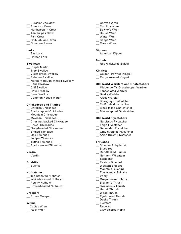 2008 Bird Checklist