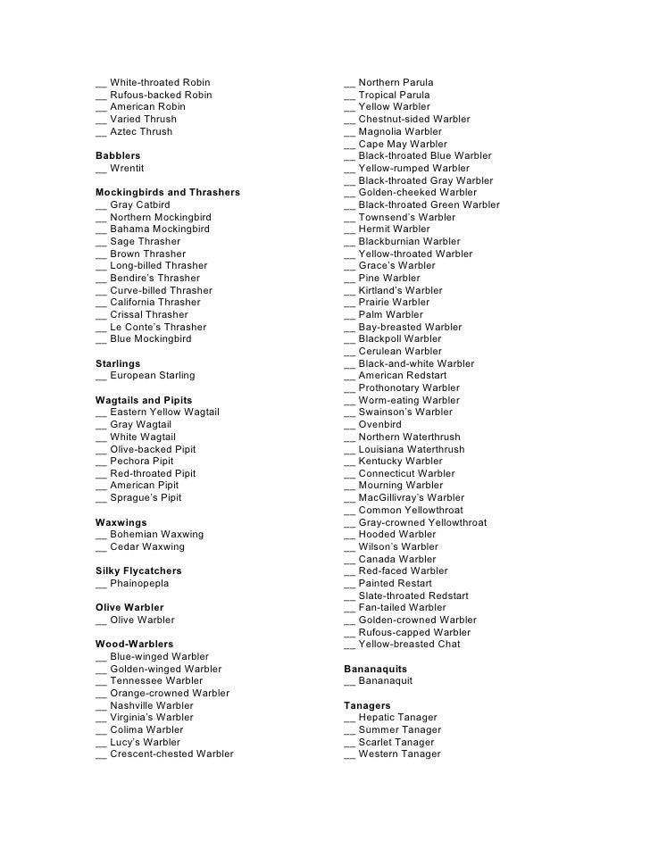 2008 Bird Checklist