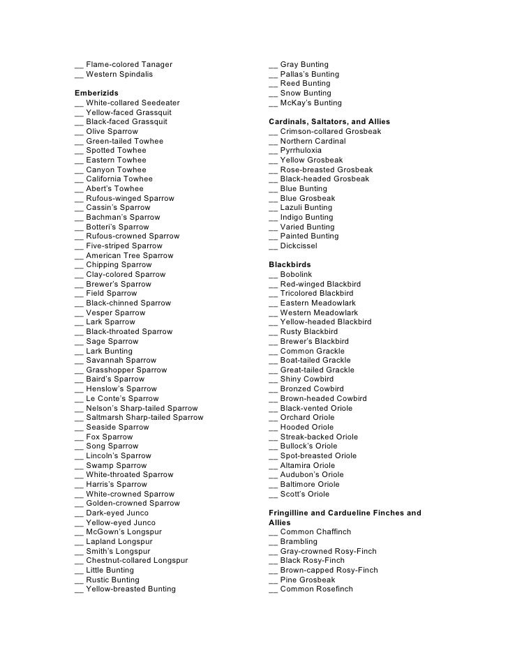 2008 Bird Checklist