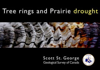 Tree rings and Prairie drought




            Scott St . George
            Geological Survey of Canada
