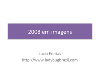 2008 em imagens Lucia Freitas http://www.ladybugbrazil.com 