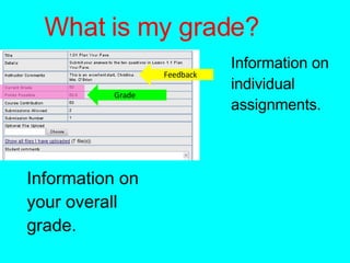 What is my grade? Information on individual assignments. Information on your overall grade. Feedback Grade 