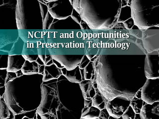 NCPTT and Opportunities  in Preservation Technology   