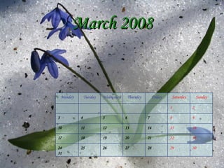 March   2008 30 29 28 27 26 25 24 31 23 22 21 20 19 18 17 16 15 14 13 12 11 10 9 8 7 6 5 4 3 2 1 Sunday Saturday Friday Thursday Wednesday Tuesday Monday 