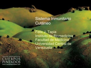 Sistema Inmunitario Cutáneo Felix J. Tapia Instituto de Biomedicina Facultad de Medicina Universidad Central de Venezuela 