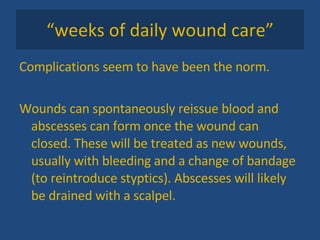 “ weeks of daily wound care” Complications seem to have been the norm.  Wounds can spontaneously reissue blood and abscesses can form once the wound can closed. These will be treated as new wounds, usually with bleeding and a change of bandage (to reintroduce styptics). Abscesses will likely be drained with a scalpel.  