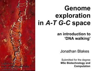 Genome exploration in  A-T G-C  space an introduction to ‘ DNA walking’ Jonathan Blakes  Submitted for the degree MSc Biotechnology and Computation Julie Newdoll Dawn of the Double Helix  Oil/Mixed, 2002   