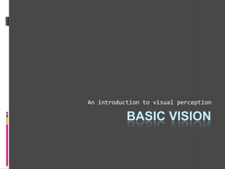 BASIC VISION
An introduction to visual perception
 