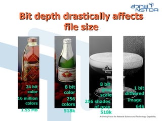 Bit depth drastically affects file size 24 bit color 16 million colors 1.55 MB 8 bit color 256 colors 518k 8 bit  gray scale 256 shades  of gray  518k 1 bit dithered  image  64k 