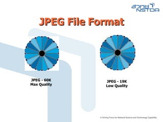 JPEG File Format JPEG - 19K Low Quality JPEG - 60K Max Quality 