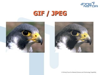 GIF / JPEG 