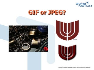 GIF or JPEG? 