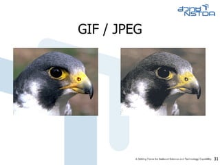 GIF / JPEG 
