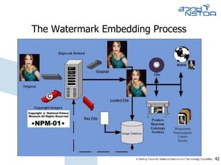 The Watermark Embedding Process  