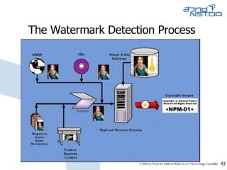 The Watermark Detection Process  