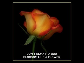 don't remain a bud bloosom like a flower 