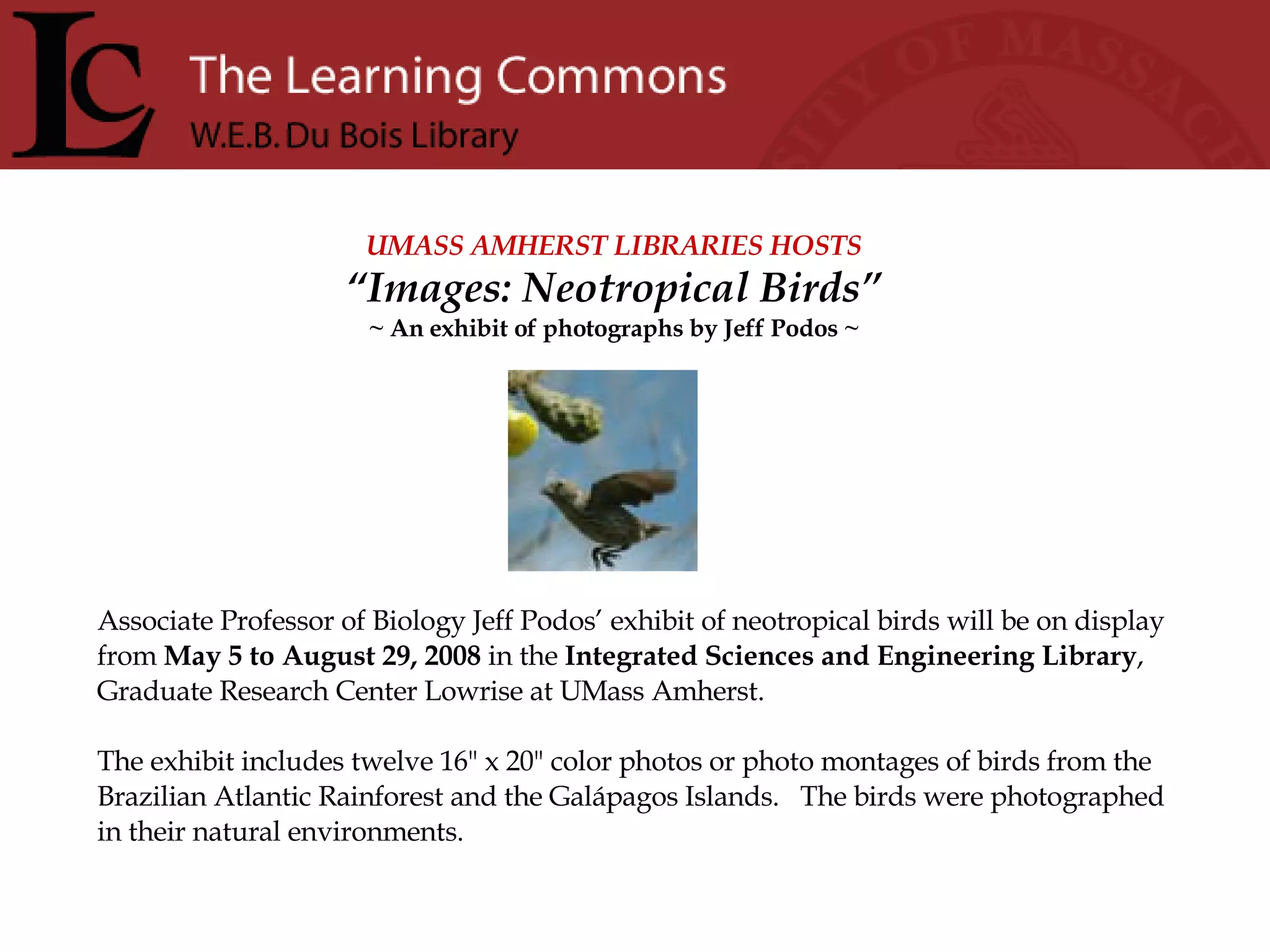 Associate Professor of Biology Jeff Podos’ exhibit of neotropical birds will be on display from  May 5 to August 29, 2008  in the  Integrated Sciences and Engineering Library , Graduate Research Center Lowrise at UMass Amherst.   The exhibit includes twelve 16&quot; x 20&quot; color photos or photo montages of birds from the Brazilian Atlantic Rainforest and the Galápagos Islands.   The birds were photographed in their natural environments. UMASS AMHERST LIBRARIES HOSTS “ Images: Neotropical Birds” ~ An exhibit of photographs by Jeff Podos ~ 