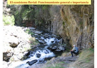 El ecosistema fluvial: Funcionamiento general e importancia
 