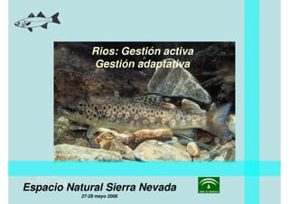 Rios: Gestión activa
               Gestión adaptativa




Espacio Natural Sierra Nevada
           27-28 mayo 2008
 