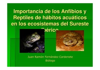 Importancia de los Anfibios y
 Reptiles de hábitos acuáticos
en los ecosistemas del Sureste
            Ibérico
 