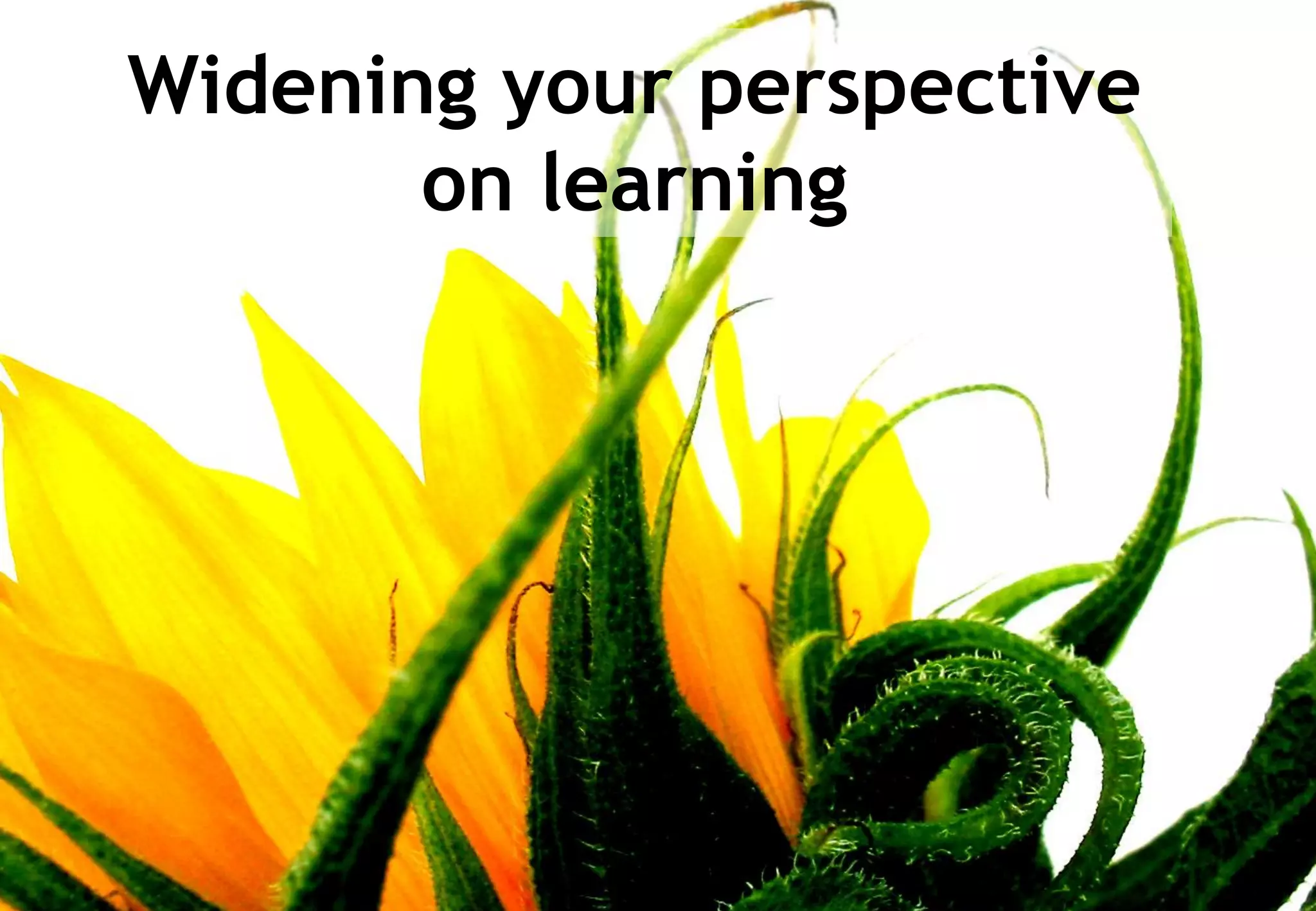 Knowledge Maturing - a different perspective on learning