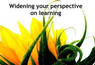 Knowledge Maturing - a different perspective on learning