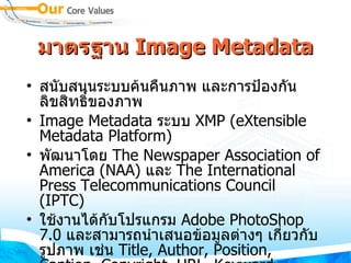 มาตรฐาน  Image Metadata สนับสนุนระบบค้นคืนภาพ และการป้องกันลิขสิทธิ์ของภาพ  Image Metadata  ระบบ  XMP  ( eXtensible Metadata Platform )  พัฒนาโดย  The Newspaper Association of America  ( NAA )  และ  The International Press Telecommunications Council  ( IPTC )  ใช้งานได้กับโปรแกรม  Adobe PhotoShop 7.0   และสามารถนำเสนอข้อมูลต่างๆ เกี่ยวกับรูปภาพ เช่น  Title, Author, Position, Caption, Copyright, URL, Keyword, Categories, Detail of org. 