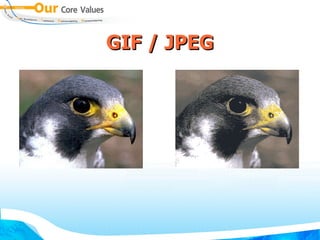 GIF / JPEG 