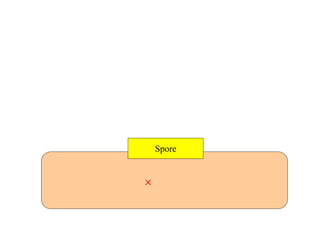 ウィル・ライトの思想を追う
コンテンツが変化させやすくて、
大量のデータを作って、
それが手の込んだ高品質で、
開発費のかさまない
そんな開発を可能にする技術は何か？
プロシージャル・コンテンツ・ジェネレーション
×
ユーザー・ジェネレイティッド・コンテンツ
Spore
 